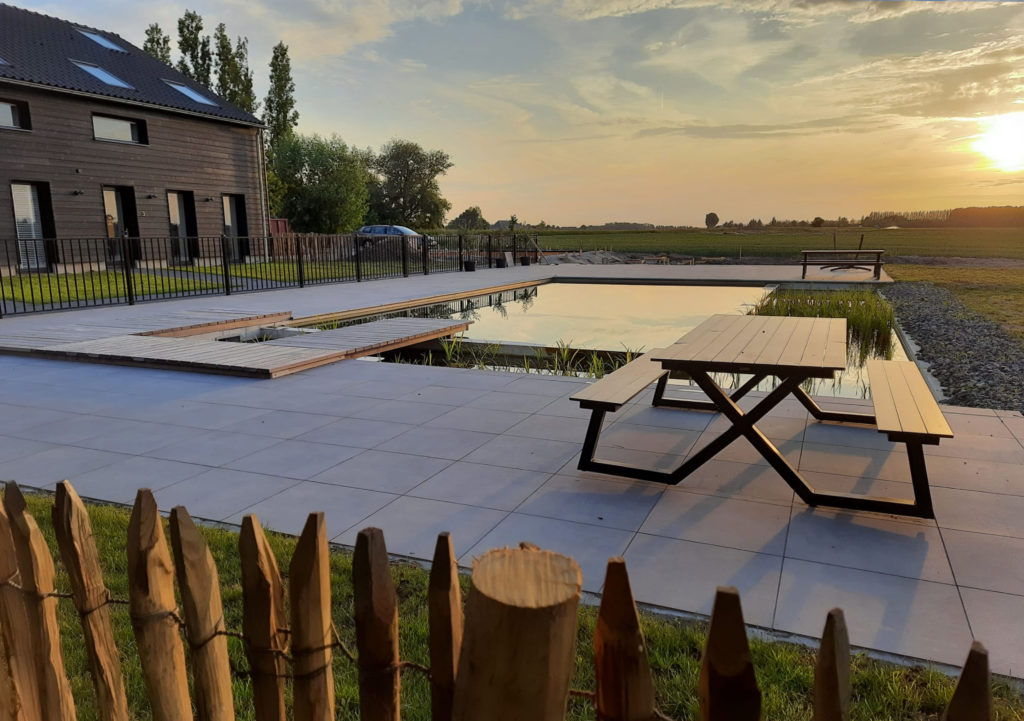 Natuurzwembad met olijfbomen voor de gevel van Bramendijk